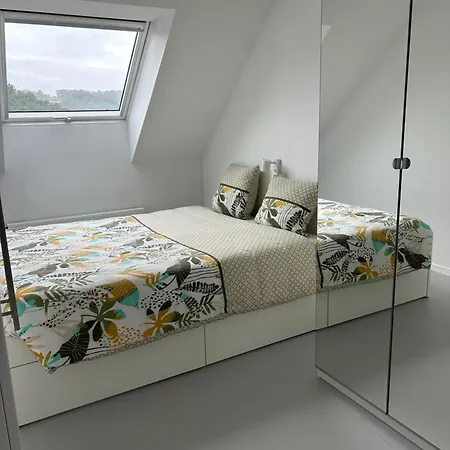 Appartement Nuage Blanc Bitche